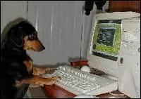 Il y a un bug, l'ordinateur se plante ! C'est un film o le personnage principal, Elzear Bouffier, un berger, veut planter des arbres dans une rgion dserte :