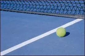 Quel joueur de tennis sudois a remport le plus de tournois du Grand Chelem en simple ?