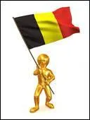 Tu es Belge. Tu habites 