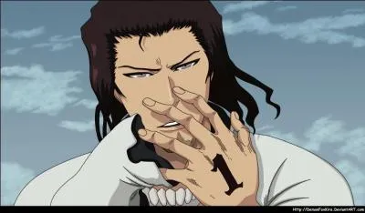 Qui est l'Arrancar n1 ?