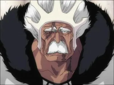 Qui est l'Arrancar n2 ?