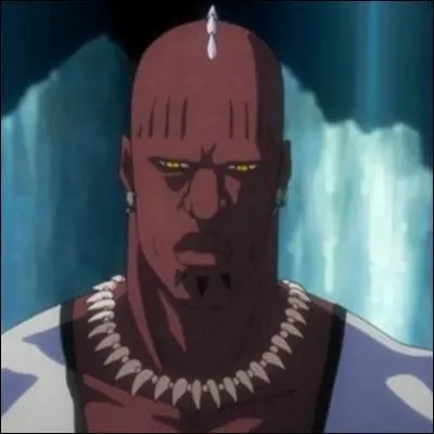 Qui est l'Arrancar n7 ?