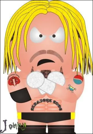 Quels sont les finshs de cm punk ?