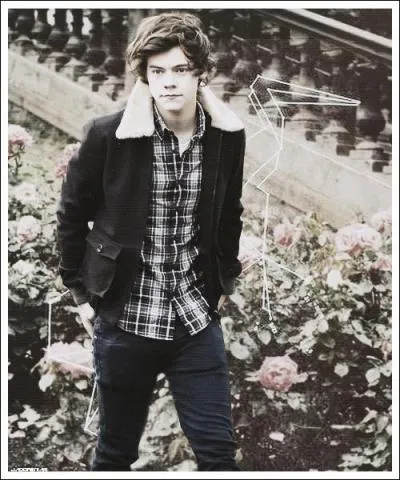 Quelle est sa taille ?