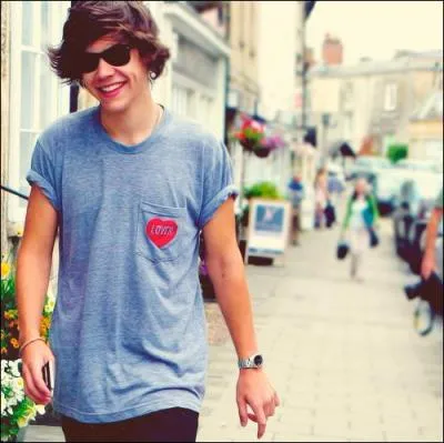 Qui s'amuse  embter Harry quand il s'ennuie ?