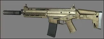 Et cette arme connue ? (version MW3)