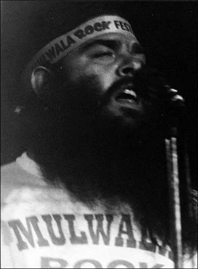 Quel est le nom de ce musicien barbu ?