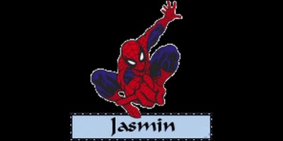 Quelle est l'origine du prénom Jasmin ?