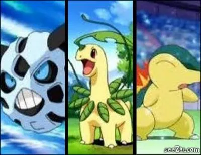 Quel est le dernier Pokmon qu'ils ont retrouv ?