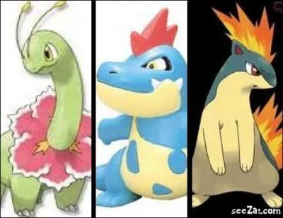 Quel Pokmon appartenant  Sacha a volu aprs les avoir tous retrouvs ?