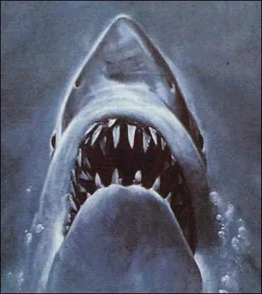 Trouvez le film associ  cet animal