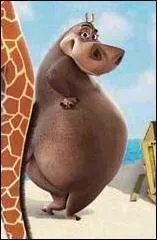 Trouvez le film associ  cet animal