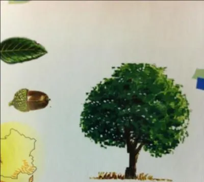 Mes feuilles sont persistantes. On m'appelle parfois faux houx  cause de mes feuilles qui ressemblent aux feuilles de Houx qui suis-je ?