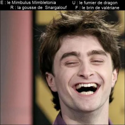 Dernire partie : trouvez la rponse grce aux images... Ron est un gnie ! Il arrive  faire rire tout le monde. Quelle blague vient-il de raconter  Harry ?  La harpie, le gurisseur et...