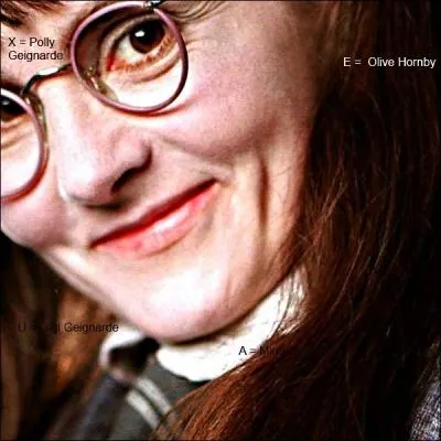 Mme de loin, on sait qui c'est ! Pourquoi ce zoom si affreux ? Qui est-ce ?