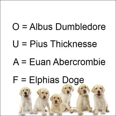 Parfait. Qui a un nez aquilin ?