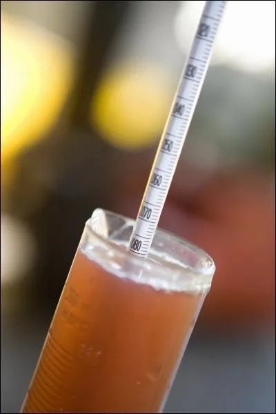 Quelle est sa fonction ?