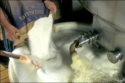 Que fait cette personne ?