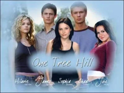 Quels sont les couples  la fin de la srie ?