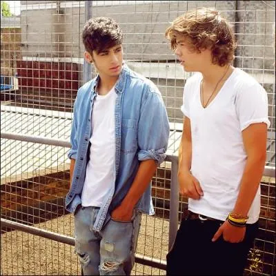 Quelle est sa bromance avec Harry ?