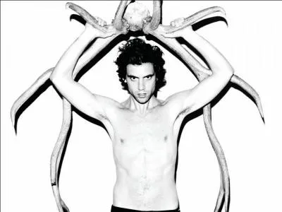 Quel est le pays o il aimerait vivre ?