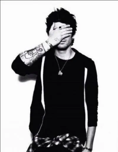 Quelle est la phrase favorite de Zayn ?