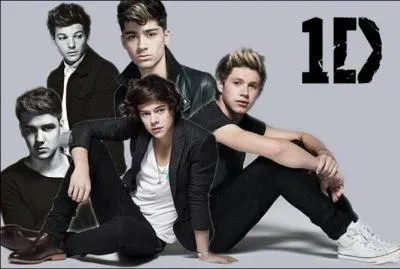 On-t-ils gagn X-Factor ?