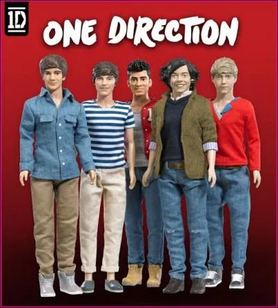 Comment s'appelle leur tourne 2014, et leur film qui est sorti au cinma en 3D ?