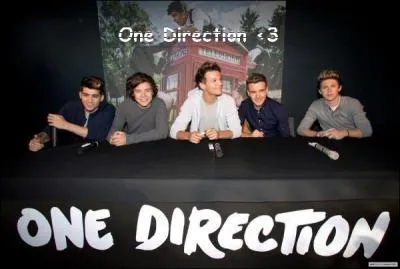 Quel membre a eu l'ide d'appeler le groupe  One Direction  ?
