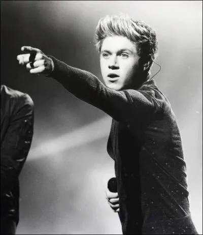 Laquelle de ces chansons a t compose par Niall Horan ?