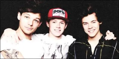 Comment sont nomms les fans qui pensent que Harry & Louis sont en couple ?