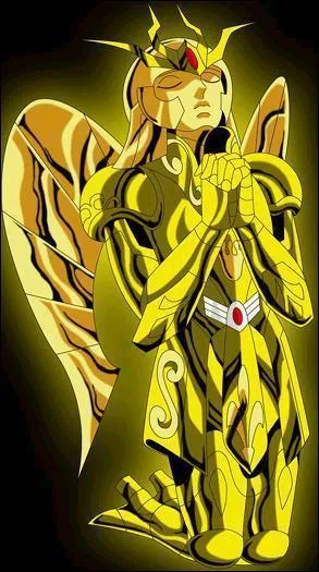 Armure d'Or de la Vierge