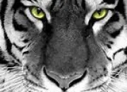 Quiz Culture animaux ! [6]
