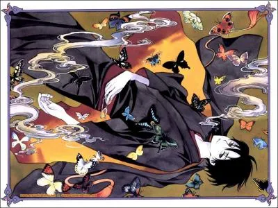 A quelle srie appartient cette image ?