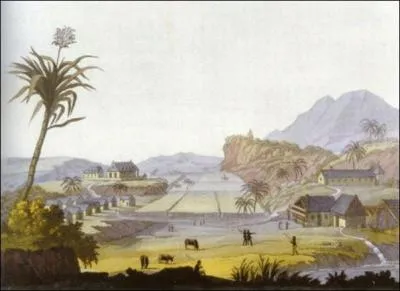 Comment appelait-on les habitations des esclaves au sein des plantations ?