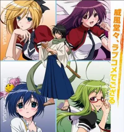 Quel est le nom de ce manga ?