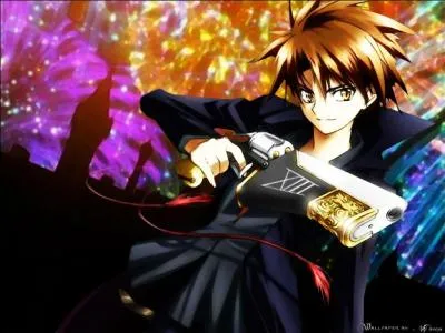 Quel est le nom de ce manga ?