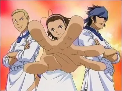 Quel est le nom de ce manga ?