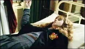 Qui s'est fait ptrifier en premier ?