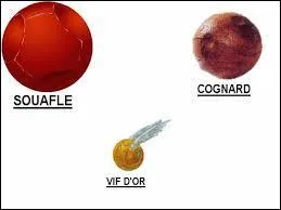 Qui a ensorcel le Cognard ?