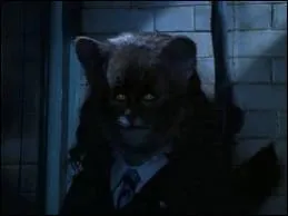 En qui Hermione voulait-elle se transformer en prenant du polynectar ?