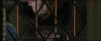 Comment Ron va-t-il chercher Harry ?