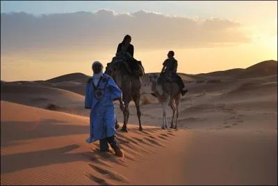 Comment appelle-t-on une expdition chamelire ?