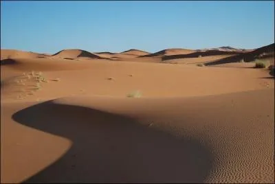 Une tendue de sable se nomme :