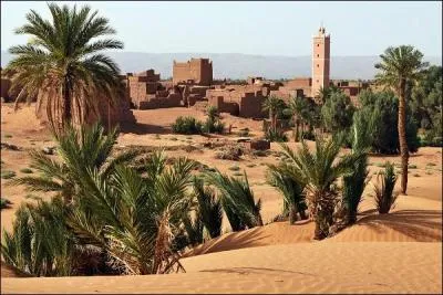 L'oasis de Nesrate est accessible par :