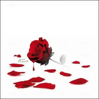 A qui appartient cette pochette ?