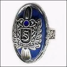 Quel objet protge Damon et Stefan des rayons du Soleil ?