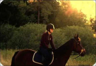 Quels os, ont les chevaux et les humains en commun ?