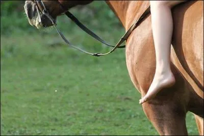 Sur combien de  doigt(s)  marche le cheval ?