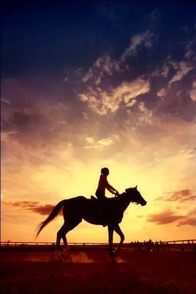 Quel nom portait le cheval du temps des romains ?